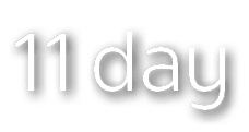 11 day