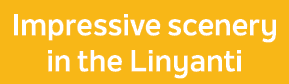 Impressive scenery in the Linyanti