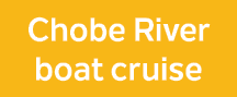 Chobe River boat cruise