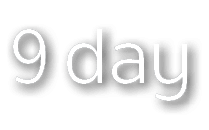 9 day