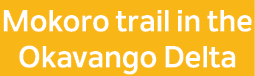 Mokoro trail in the Okavango Delta
