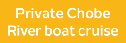 Private Chobe River boat cruise
