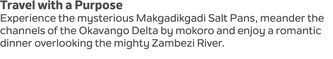 Travel with a Purpose Experience the mysterious Makgadikgadi Salt Pans, meander the channels of the Okavango Delta by...