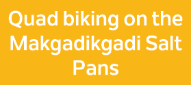 Quad biking on the Makgadikgadi Salt Pans