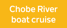 Chobe River boat cruise