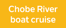 Chobe River boat cruise