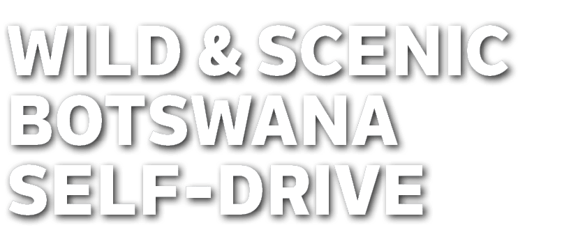 Wild & Scenic Botswana SELF DRIVE