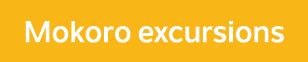 Mokoro excursions