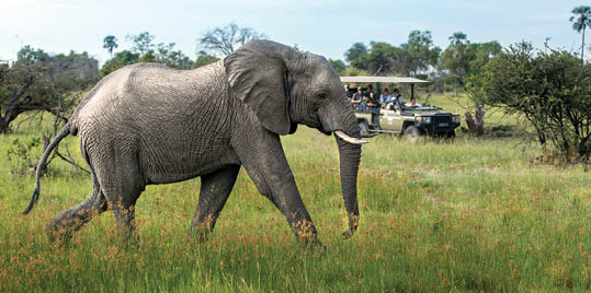 Rectangle