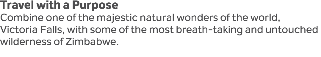 Travel with a Purpose Combine one of the majestic natural wonders of the world, Victoria Falls, with some of the most...