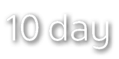 10 day