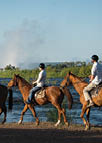 Scenic Horseback Trails