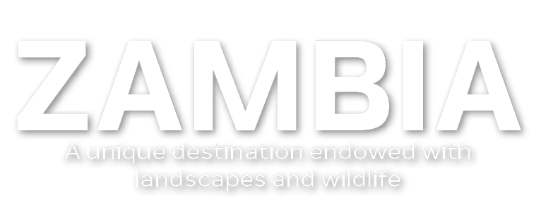 A unique destination endowed with landscapes and wildlife,ZAMBI