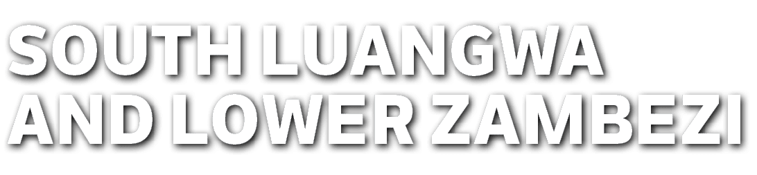 SOUTH LUANGWA AND LOWER ZAMBEZI