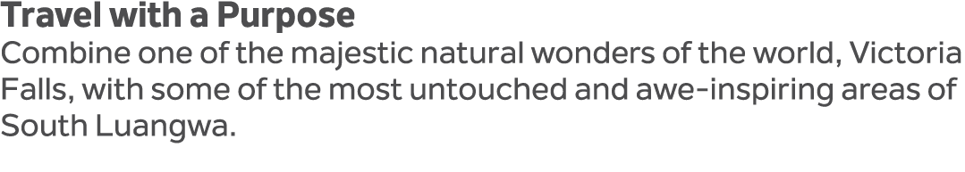 Travel with a Purpose Combine one of the majestic natural wonders of the world, Victoria Falls, with some of the most...