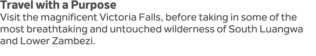 Travel with a Purpose Visit the magnificent Victoria Falls, before taking in some of the most breathtaking and untouc...