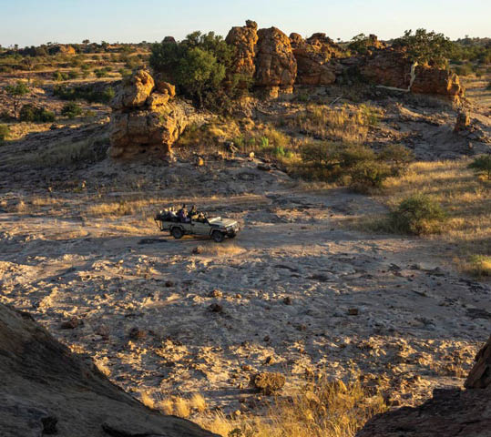 Mashatu Game Reserve. Botswana