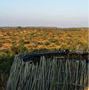 Mashatu Game Reserve. Botswana