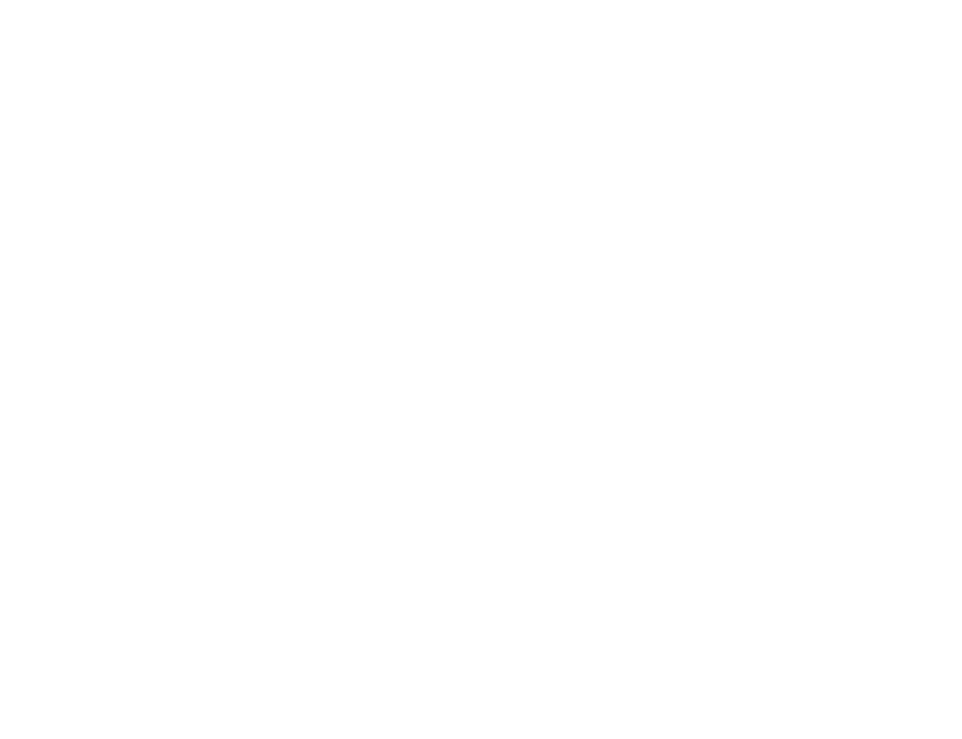 International and regional scheduled flights and visas Travel, medical and personal accident insurance Gratuities and...