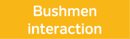Bushmen interaction