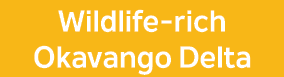 Wildlife rich Okavango Delta
