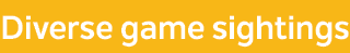 Diverse game sightings 