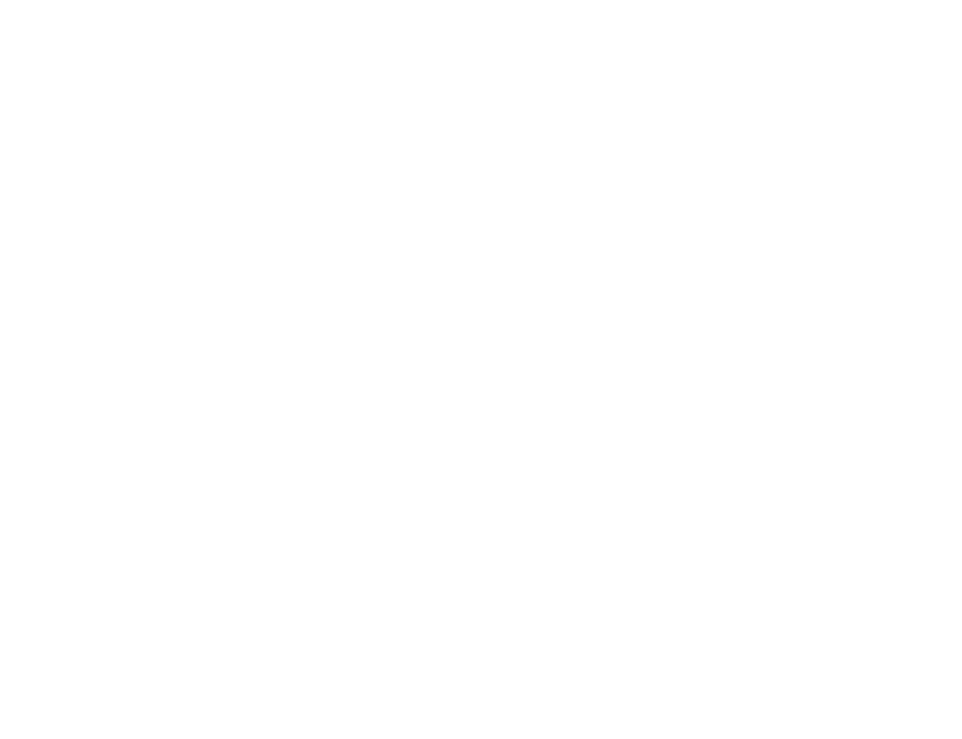 International and regional scheduled flights and visas Travel, medical and personal accident insurance Gratuities and...
