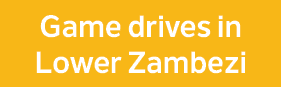 Game drives in Lower Zambezi