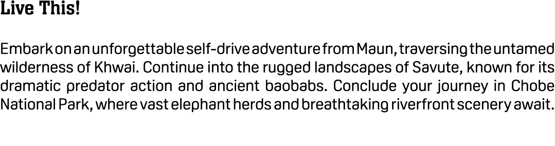 Live This! Embark on an unforgettable self drive adventure from Maun, traversing the untamed wilderness of Khwai. Con...