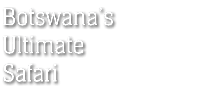Botswana’s Ultimate Safari
