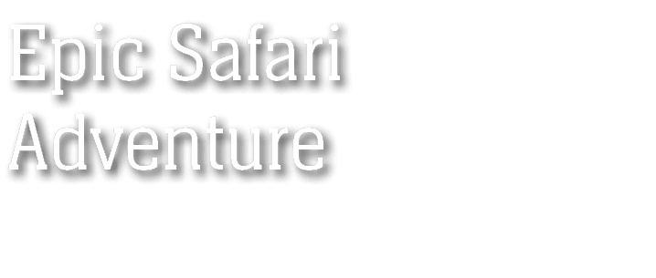 Epic Safari Adventure