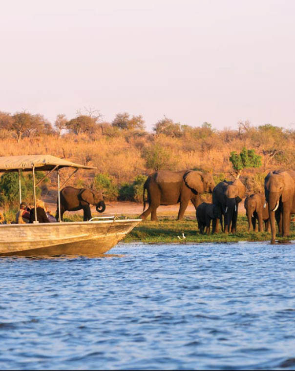 Tourist observe elephants in the edge of Chobe National Park, Botswana, Africa
