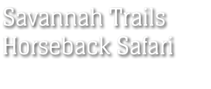 Savannah Trails Horseback Safari