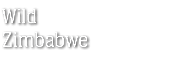 Wild Zimbabwe