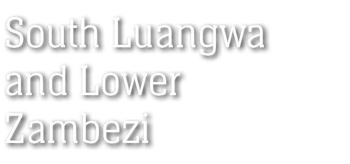 South Luangwa and Lower Zambezi