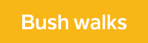 Bush walks
