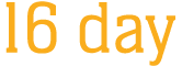 16 day