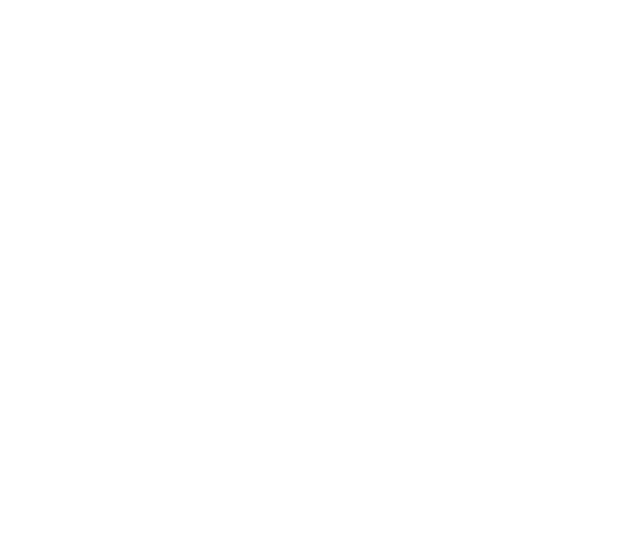 Accommodation: As per itinerary Meals: As per itinerary Entrance fees: Victoria Falls National Park, Chobe National P...