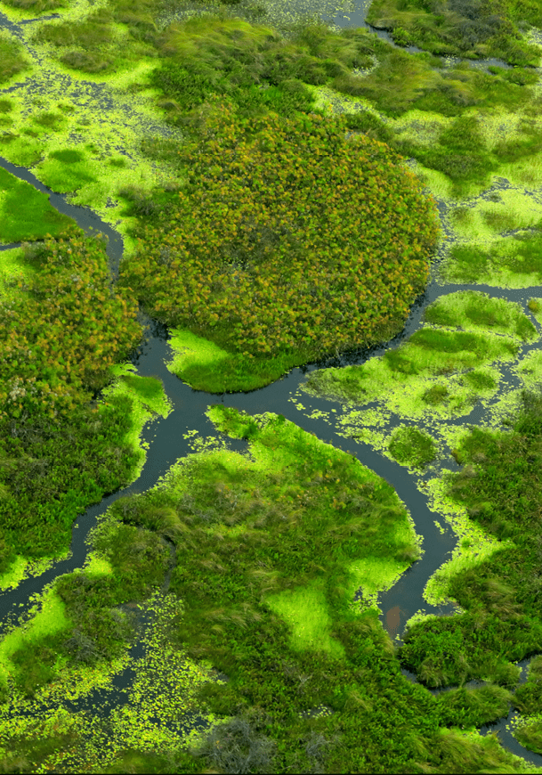 Aerial landscape in Okavango delta, Botswana. Lakes and rivers, view from airplane, UNESCO World Heritage site in South Africa. Green vegetation with water in rainy season. 
