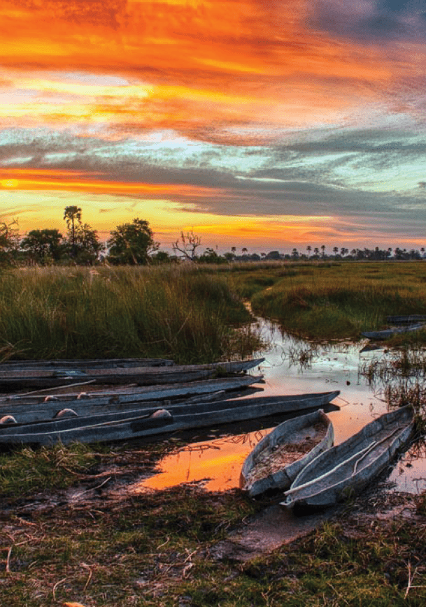 The Mokoros in the sunset, Okawango Delta, Botsuana