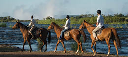 Scenic Horseback Trails