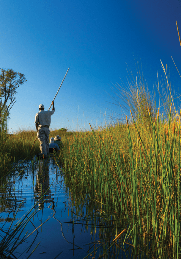 Mokoro, Okavango Delta, Botswana, Africa