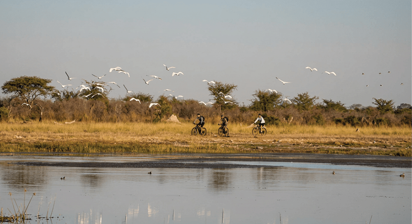 A group of birds flying over a body of water. Description generated by AI
