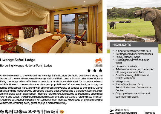 A brochure for a safari lodge. Description generated by AI