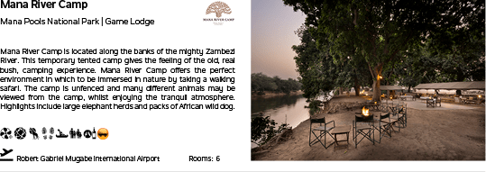 A picture of a camping area with a tree in the background. Description generated by AI