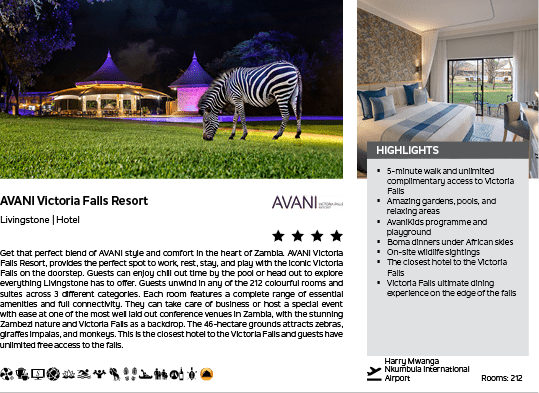 A zebra is standing in a field at night. Description generated by AI