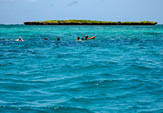snorkelers in indian ocean near wasini island