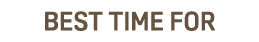 Best time FOR