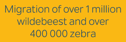 Migration of over 1 million wildebeest and over 400 000 zebra