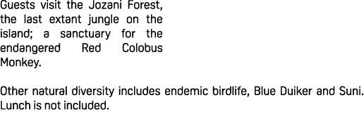 Guests visit the Jozani Forest, the last extant jungle on the island; a sanctuary for the endangered Red Colobus Monk...